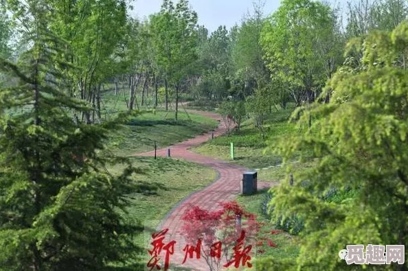 2025年探索：森林神器在生态保护与科技监测中的创新作用