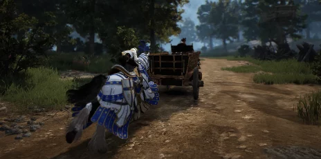 2025年黑色沙漠热门坐骑获取攻略：全面解析黑色沙漠坐骑获得新方法