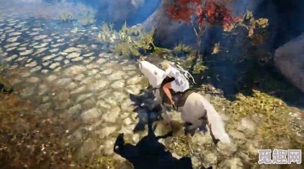 2025年黑色沙漠热门坐骑获取攻略：全面解析黑色沙漠坐骑获得新方法