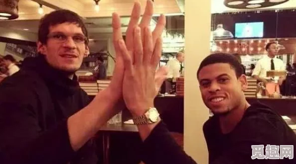 2025年热门策略解析：植物大战僵尸无尽泳池最强防守阵容推荐