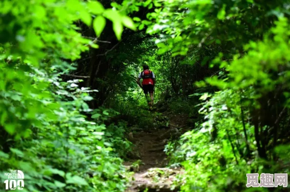 2025年暗黑2牛场热门装备掉落指南:全面解析牛场出什么高级装备 2025年暗黑2牛场热门装备掉落指南:全面解析牛场出什么高级装备