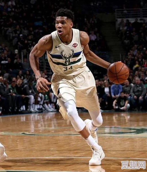 2025年绝地求生大逃杀单排全胜攻略秘籍与最新热门战术解析 2025年绝地求生大逃杀单排全胜攻略秘籍与最新热门战术解析