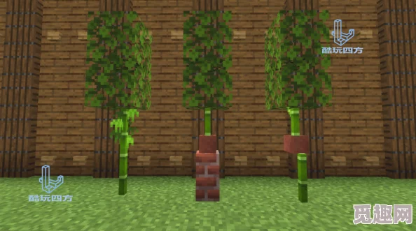 2025热门解读:我的世界竹子多功能用途与最新创意应用介绍 2025热门解读:我的世界竹子多功能用途与最新创意应用介绍