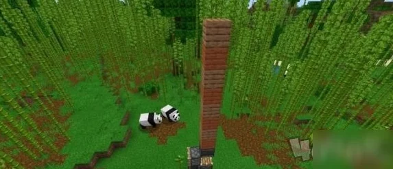 2025热门解读:我的世界竹子多功能用途与最新创意应用介绍 2025热门解读:我的世界竹子多功能用途与最新创意应用介绍